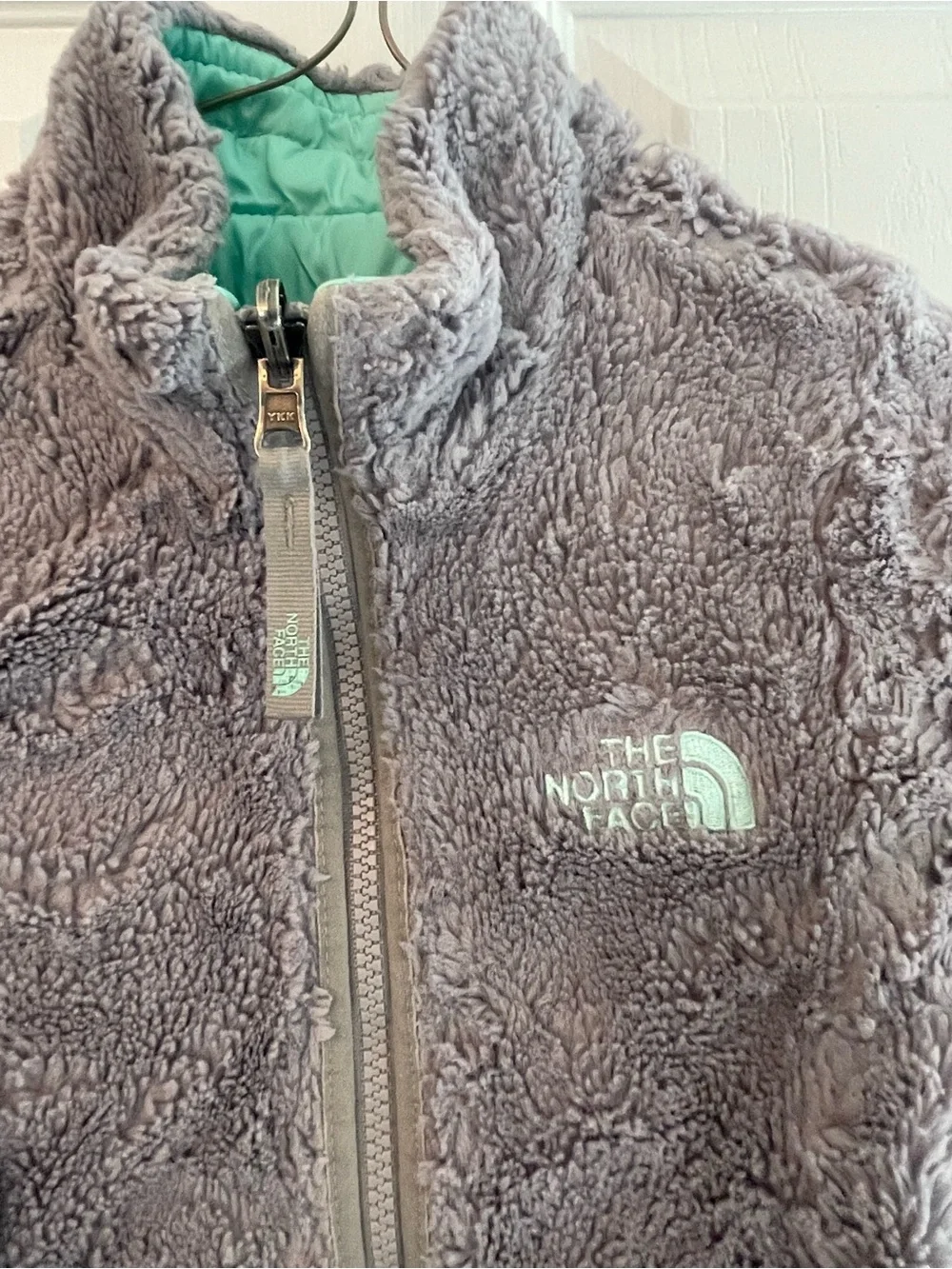 The North Face Girls' Teal Puffer Jacket with Gray Trim